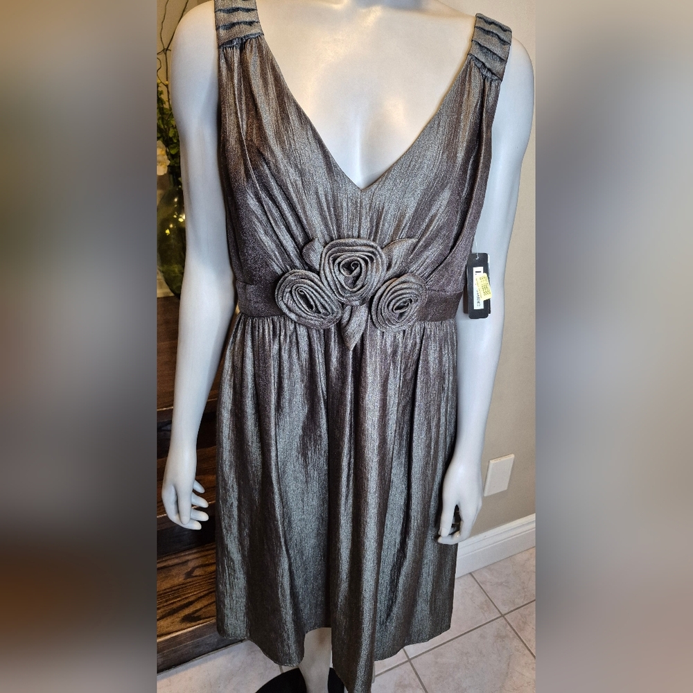 Elegant metallic/Pewter dress